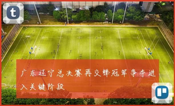 广东辽宁总决赛再交锋冠军争夺进入关键阶段