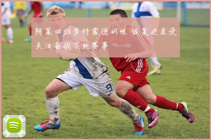 阿莱回归多特蒙德训练 恢复进度受关注备战下轮赛事