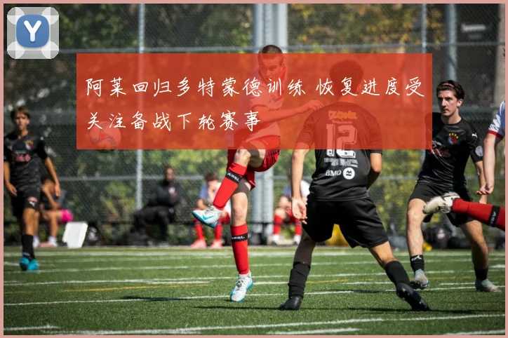 阿莱回归多特蒙德训练 恢复进度受关注备战下轮赛事